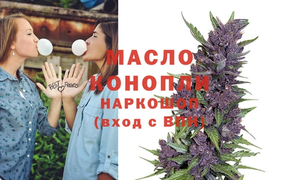 гидра Дмитров