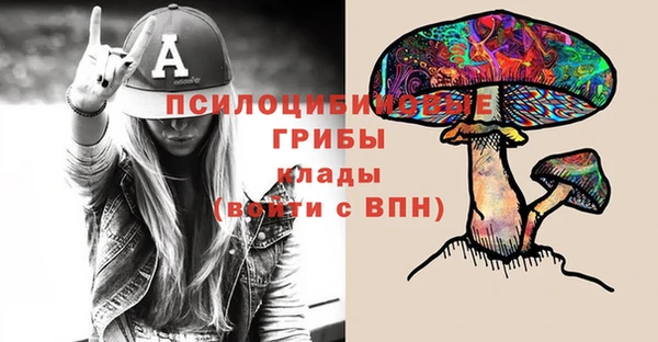твердый Горнозаводск